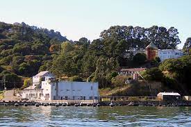 Cause marketing for global climate change